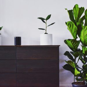 طراحی انواع کابنیت در کرج